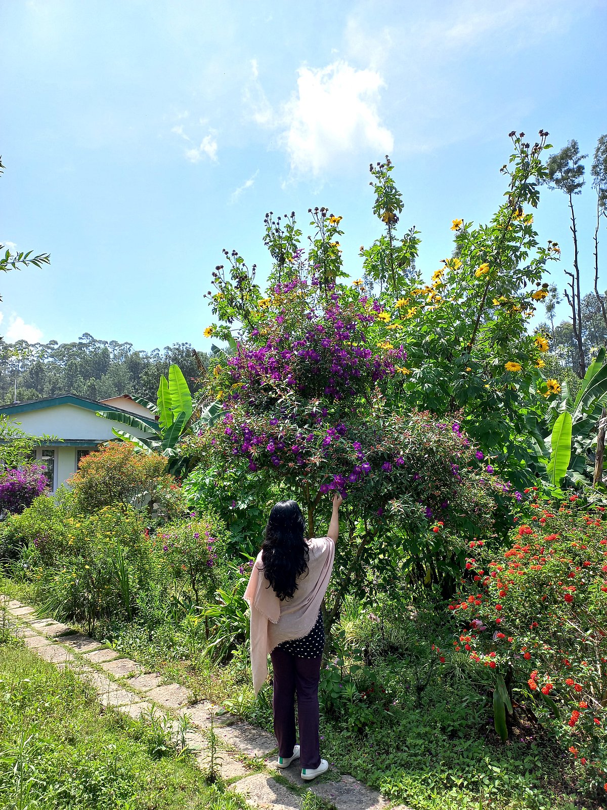 Taking a walk in the Zen gardens of Bodhi Zendo